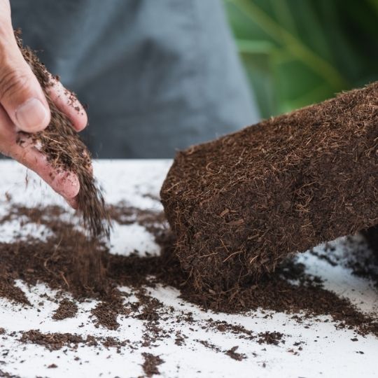 Proper-Coco-Humus-application-in-agriculture