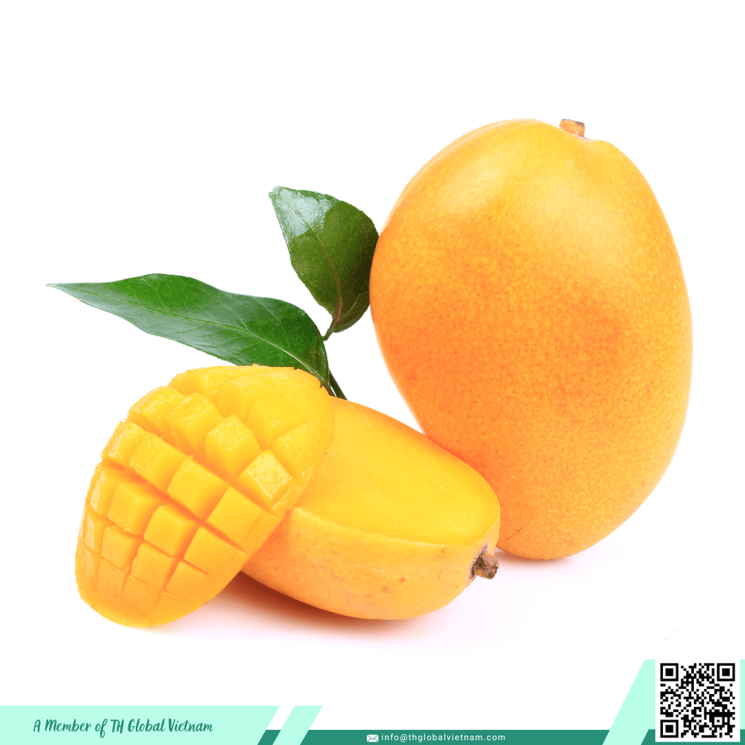 Fresh-Mango-Vietnam-import