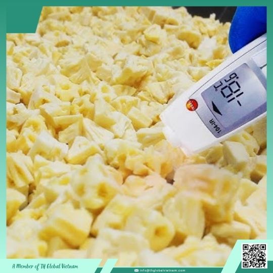 MD2 pineapple IQF product Vietnam exporter