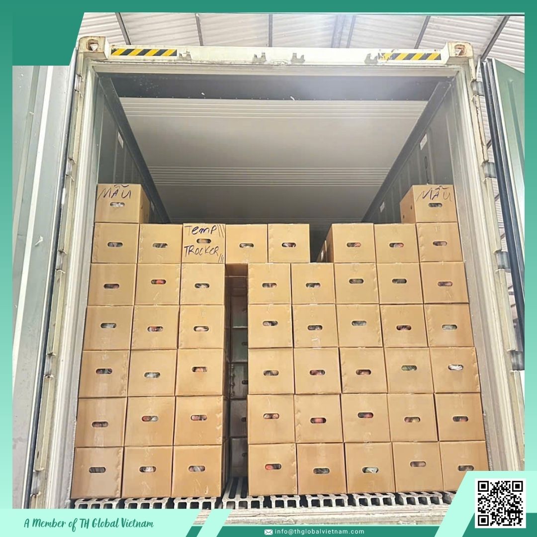 Vietnam fresh passion fruits export quality