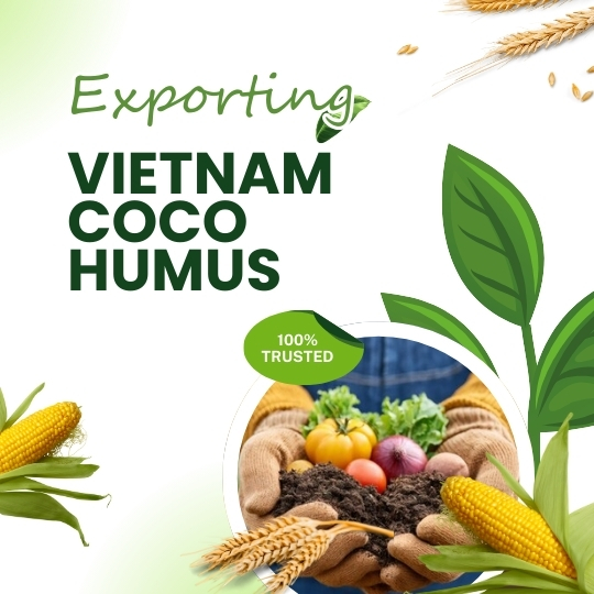Everything You Need to Know About Export Coco Humus Vietnam