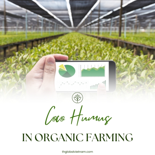 Coco Humus in Organic Farming: A Sustainable Alternative to Chemicals