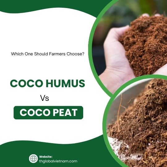 Coco Humus vs Coco Peat: Which One Should Farmers Choose?