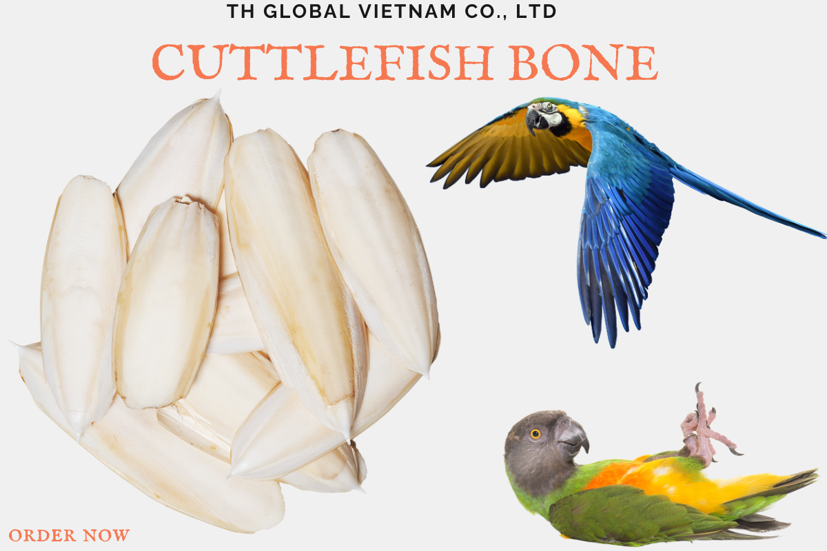 Cuttlefish Bone for Birds – Natural Calcium and Beak Care Solution