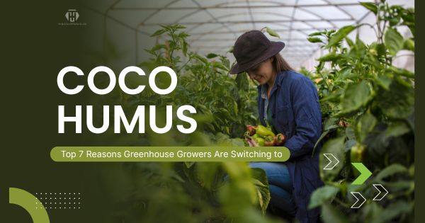 Top 7 Reasons Greenhouse Growers Are Switching to Coco Humus