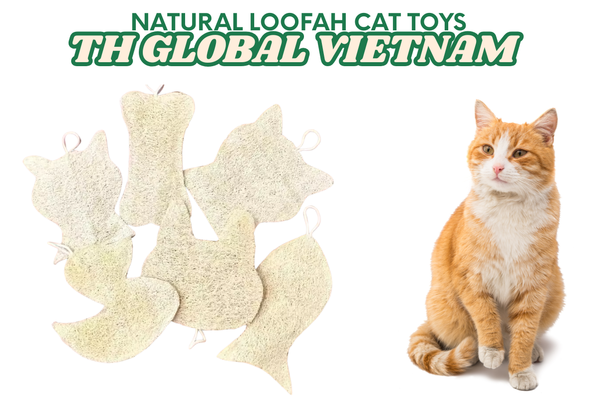 Natural Loofah Cat Toys: The Eco-Friendly Play Choice for Modern Pet Owners