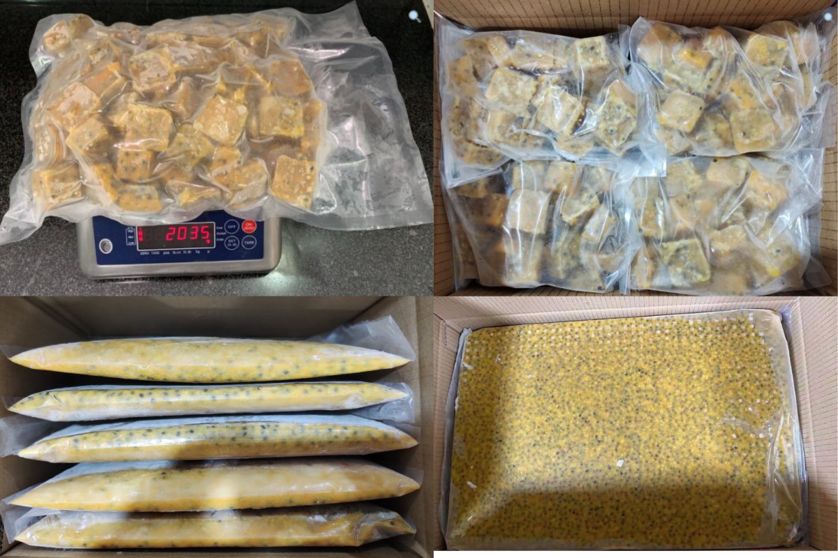 Frozen Passion Fruit Packaging – TH Global Vietnam