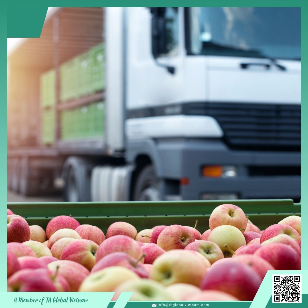 How to Source Vietnam Tropical Fruits in Bulk
