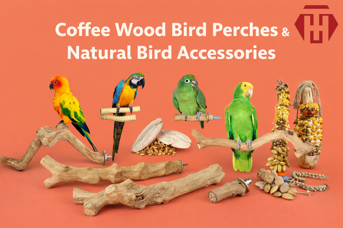 Coffee Wood Perches for Birds: Natural Branches for Standing and Resting