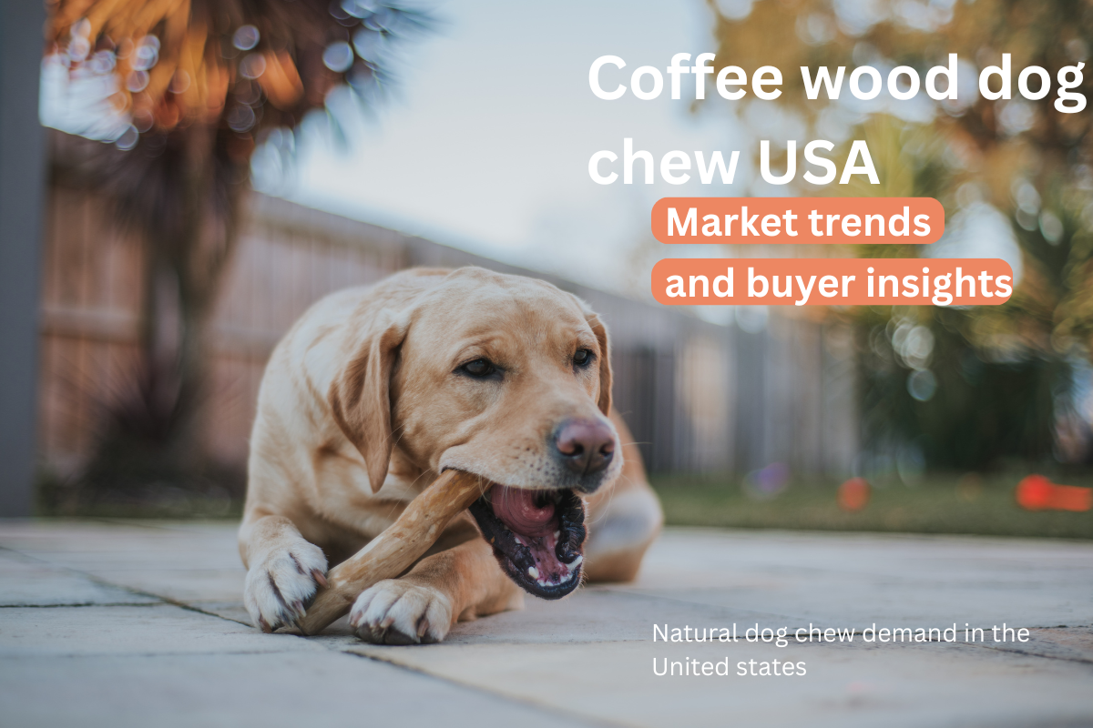 Coffee Wood Dog Chew USA: Market Trends and Buyer Insights