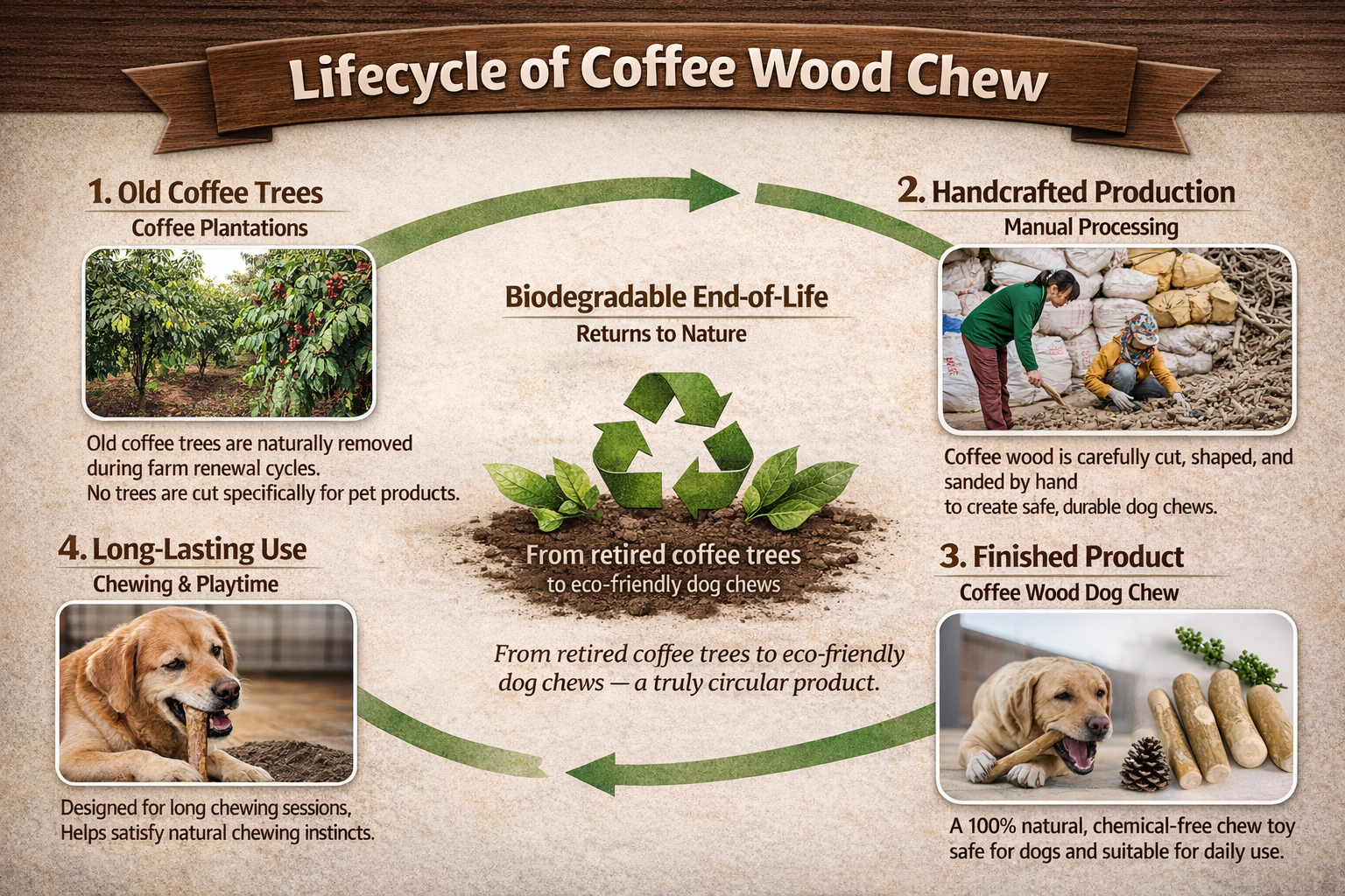 Why Coffee Wood Dog Chews Are Popular in Europe