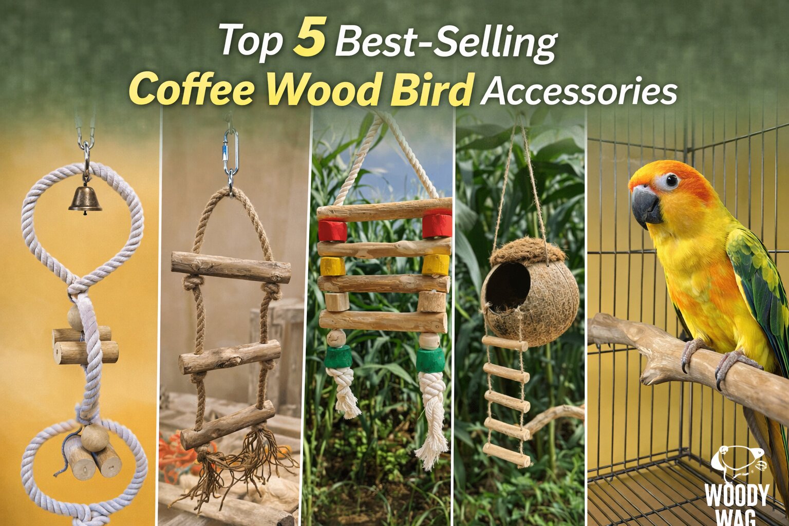 Top 5 Best-Selling Coffee Wood Bird Accessories