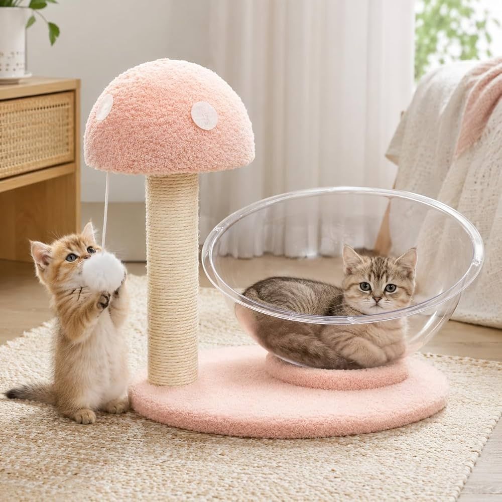 small cat tree size for kittens