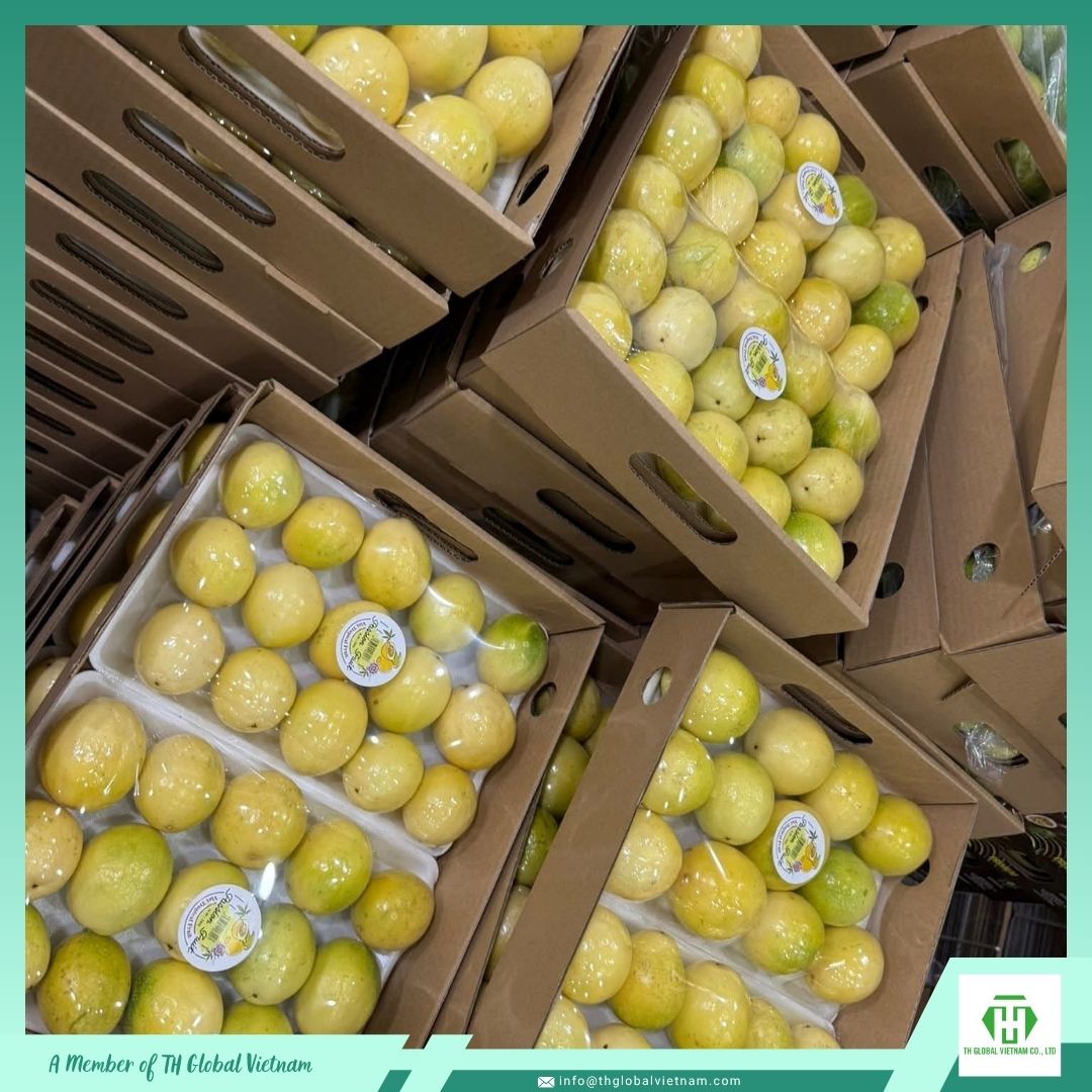 fresh yellow passion fruit export packaging for Russia